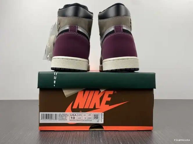 OG 1 Hand Jordan DH3097-001 High Crafted Air 0527